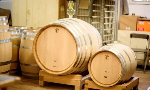 ozono para vino y cerveza