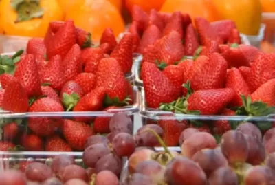 Ozono para la Seguridad Alimentaria y el Saneamiento