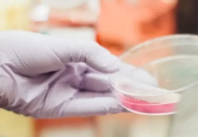 Ozono para laboratorios