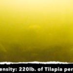 calidad del agua antes de usar ozono