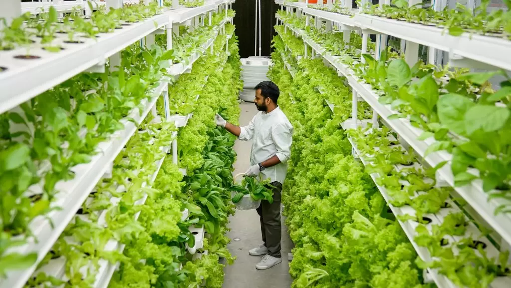Vertical-Farming